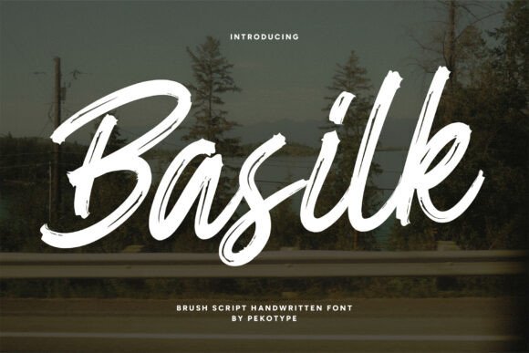 Basilk: A Designer's Real-World Review for Branding and Print