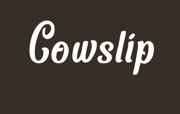 Cowslip Typeface Review: A Soft Serif for Modern Branding