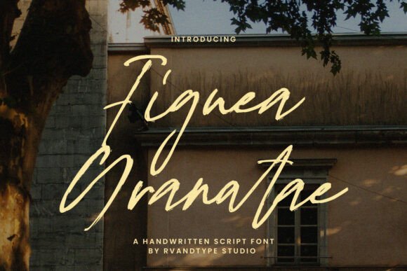 Figuea Granatae: The Perfect Script Font for Modern Web Design