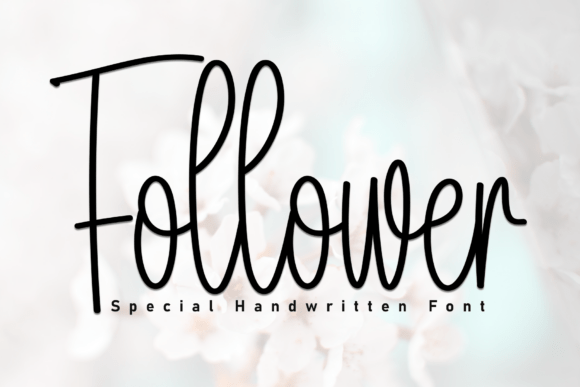 Follower Typeface: The Perfect Handwritten Font for Small Business Branding