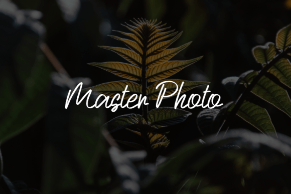 Master Photo: The Premium Script Font for Modern Web Design
