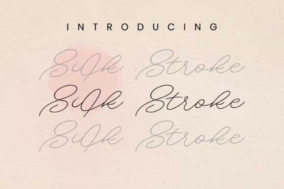 Silk Stroke: The Premium Script Font for Elegant Campaigns